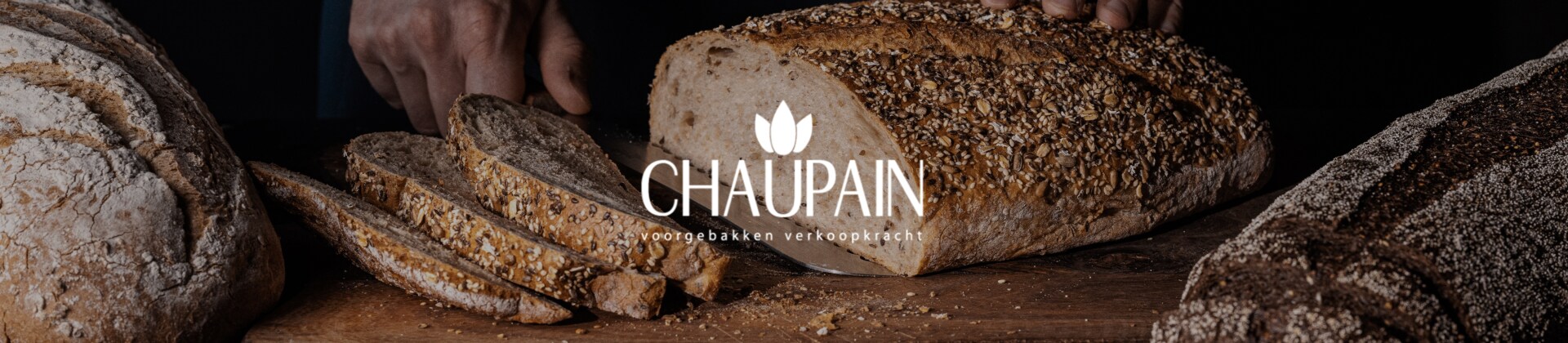 Chaupain brood